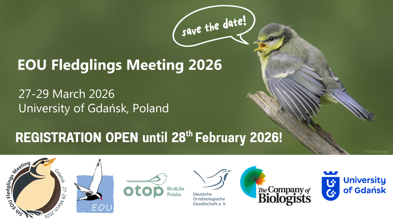 EOU Fledglings 2026 banner