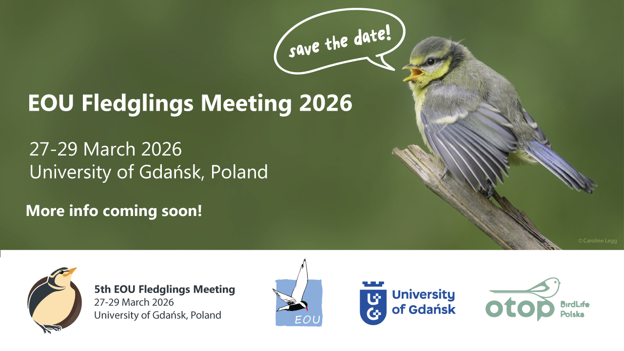 EOU Fledglings 2026 banner
