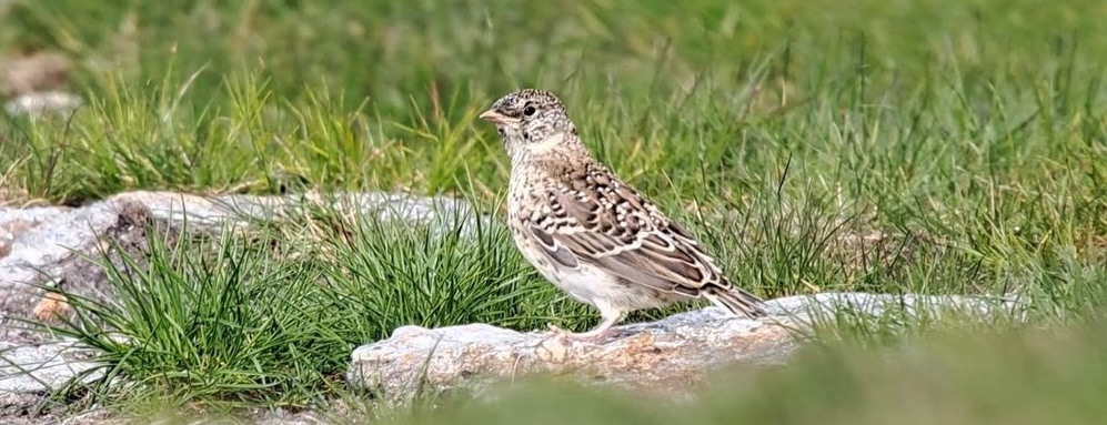 Conference banner photo