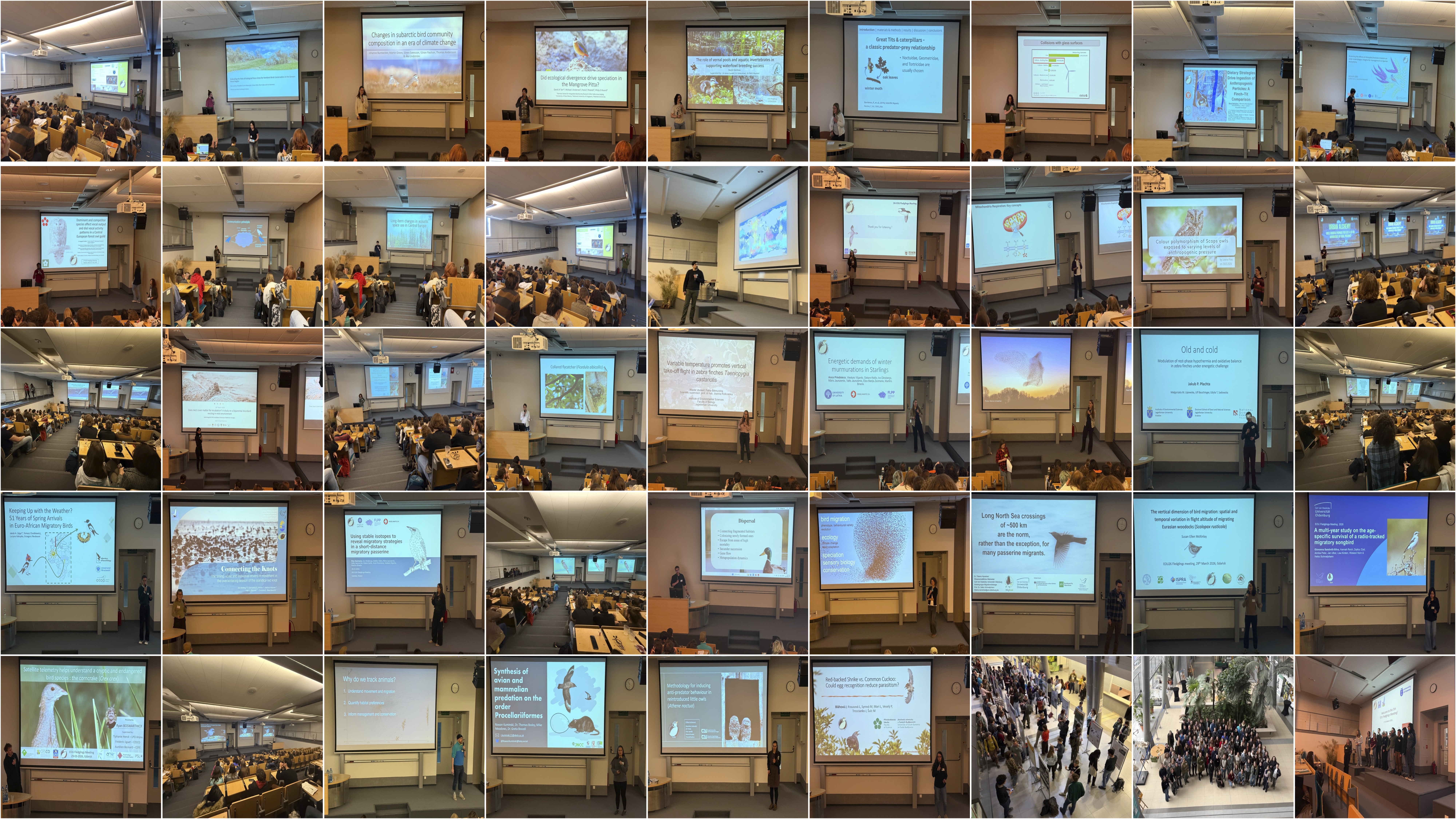 EOU Fledglings 2026 conference